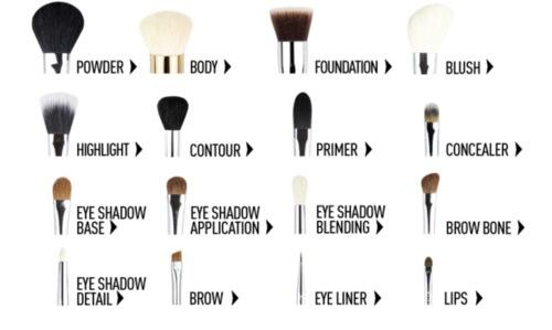 Know Your Brushes